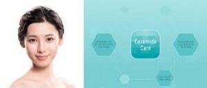 Ceramide Là Gìmoinhat
